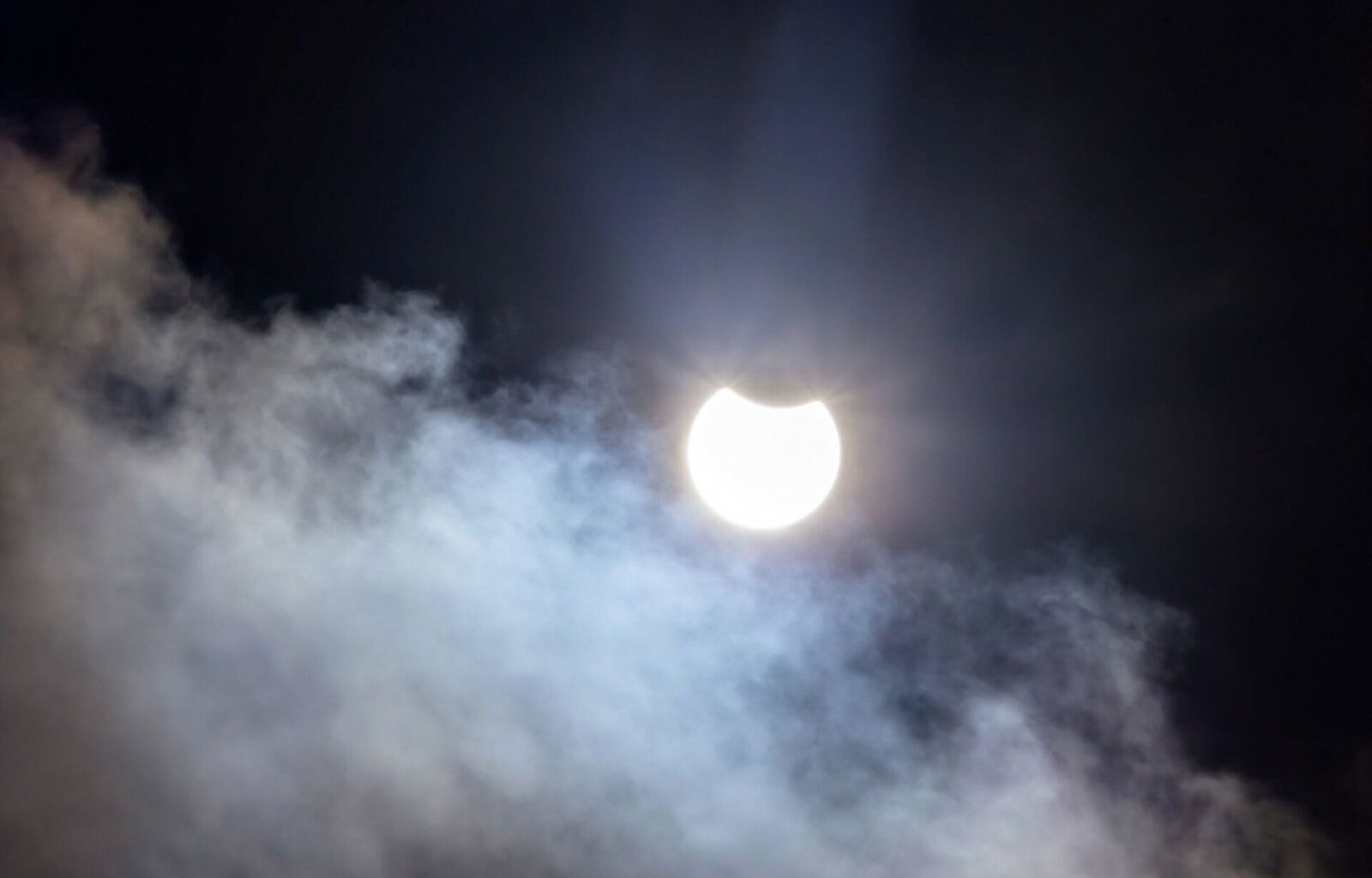 Controversy Ensues Over Claims That a Group of Trees in Italy "Predicted" an Eclipse—These Scientists Are Skeptical