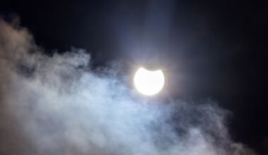 Controversy Ensues Over Claims That a Group of Trees in Italy "Predicted" an Eclipse—These Scientists Are Skeptical