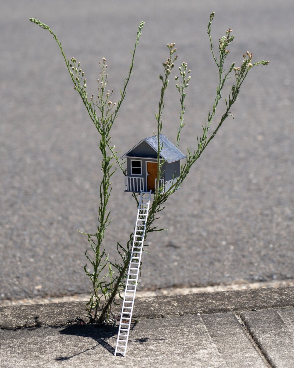 A tiny sculpture by Michael Pederson of a tree house in a weed growing out of a sidewalk