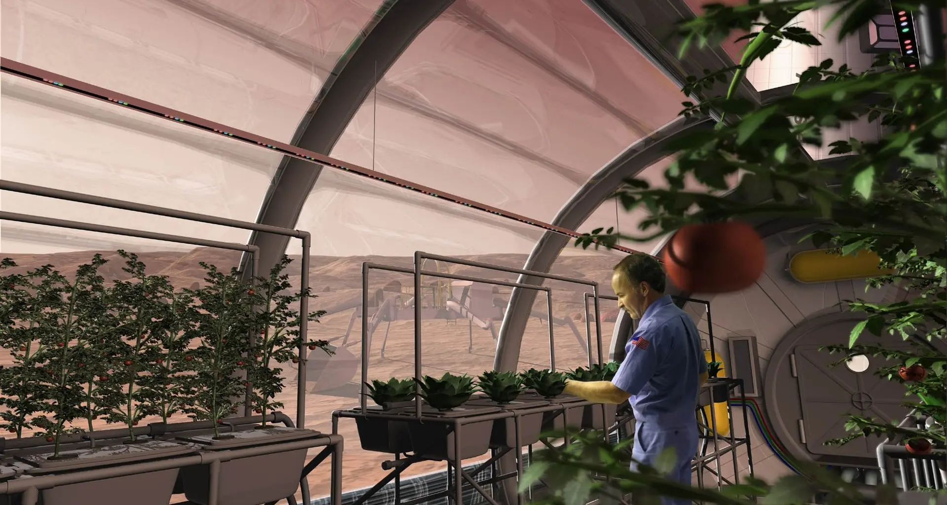 An artist's concept depicts a greenhouse on the surface of Mars. Plants are growing with the help of red, blue, and green LED light bars and a hydroponic cultivation approach. Other methods using soil simulants should also contribute to long-term food production on the Moon and Mars. Image credit: SAIC