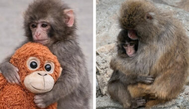 Things Are Looking up for Him