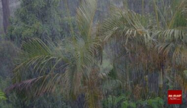 UPDATE: Flood advisory extended for windward areas of Big Island : Big Island Now