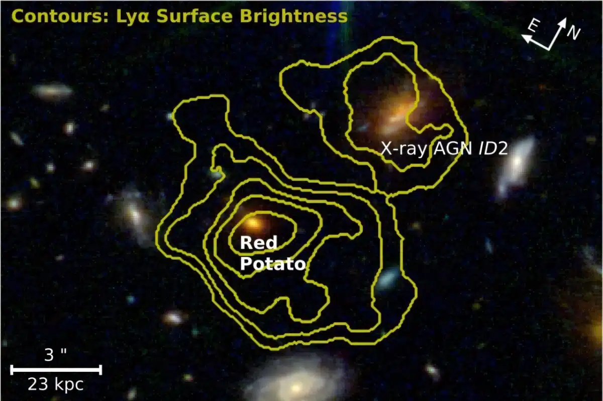 Red Potato Galaxy Disc