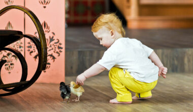 Human redheads and orange birds share a cellular 'superpower'