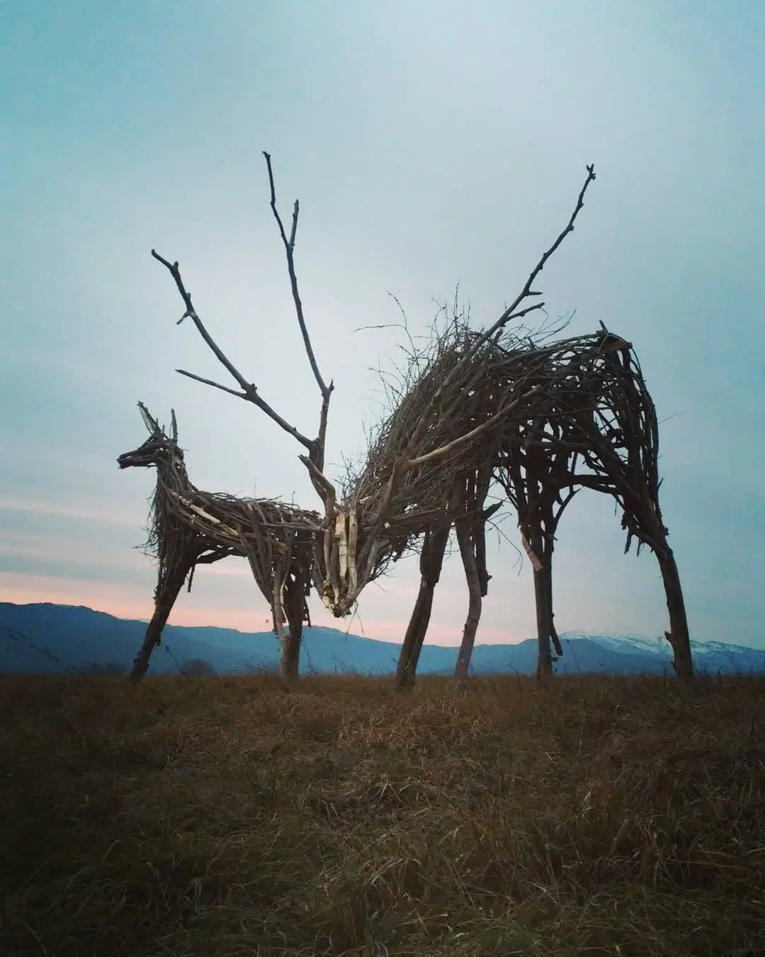 Wood and Twig Animal Sculptures by Rodolfo Liprandi