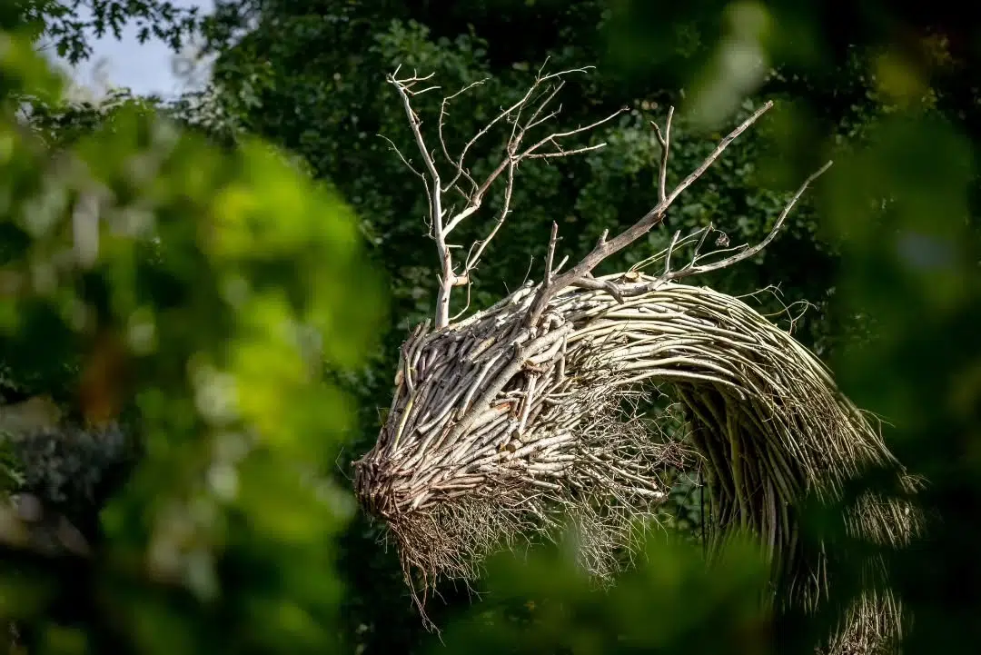 Wood and Twig Animal Sculptures by Rodolfo Liprandi