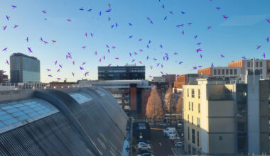 New tool could reduce collision risk for EO satellites