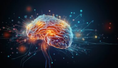 Memory-linked brain cells offer new obesity target for future therapies