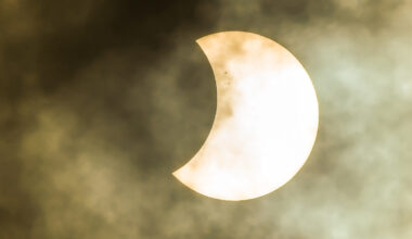 Forest's Strange Response to an Eclipse May Have a More Mundane Explanation : ScienceAlert