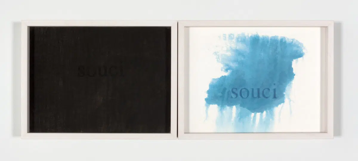 ‘Souci (diptych),’ 2013. Cyanotype and carbon print. (Photo: Steven Probert, courtesy of the artist and Paula Cooper Gallery)