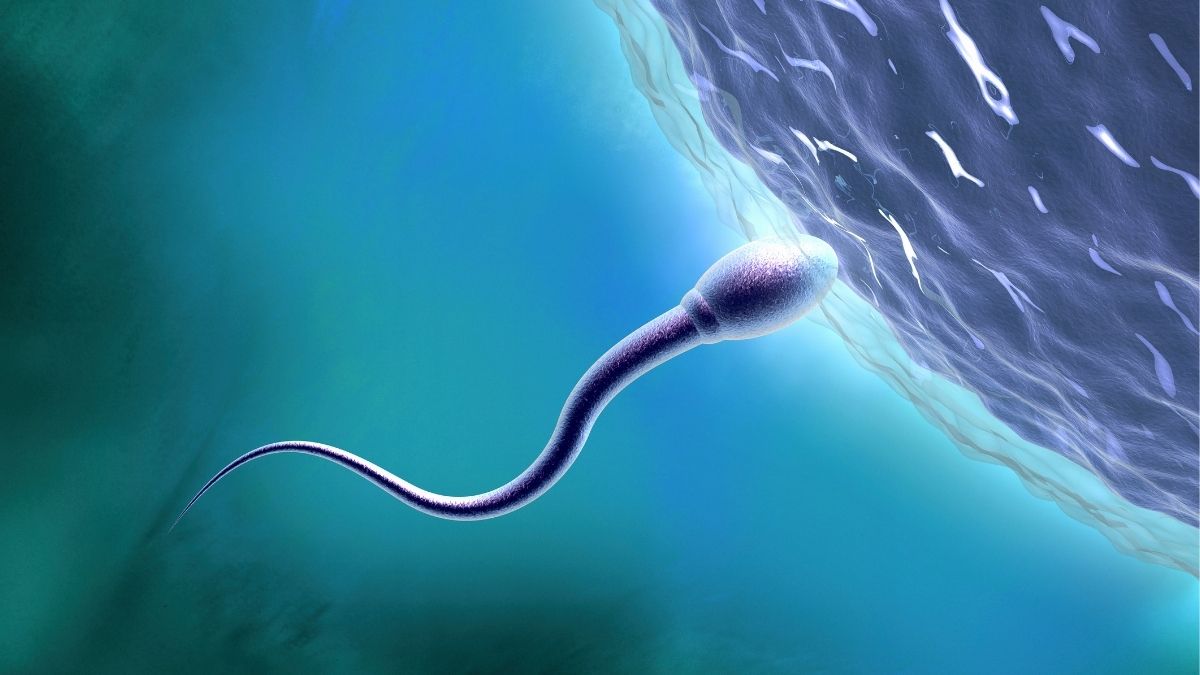 Scientists Say It's Time to Learn More About Sexual Health in Space : ScienceAlert