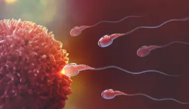This breakthrough could finally unlock male birth control