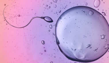 Scientists Caught Sperm Ignoring a Major Physical Law : ScienceAlert