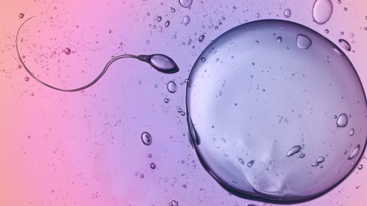 Scientists Caught Sperm Ignoring a Major Physical Law : ScienceAlert