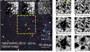 Massive star vanishes in a rare 'failed supernova' event