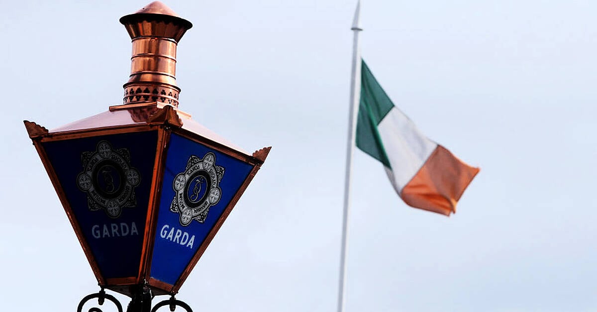 Two Limerick gardaí cleared and reinstated