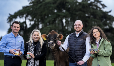Sysco Expands Local Portfolio With Northern Irish Producers