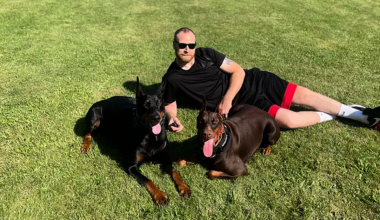 Temporary pause on deportation for Seamus Culleton, Irishman detained in US