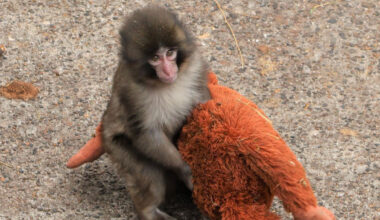 Yahoo lifestyle home