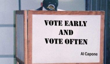 After Recent Fresh Dáil calls For Votes At Age 16, Ireland Should Think Twice. « Thurles Information