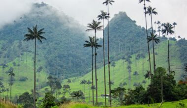 Ancient sediments hint the tropics may heat up faster