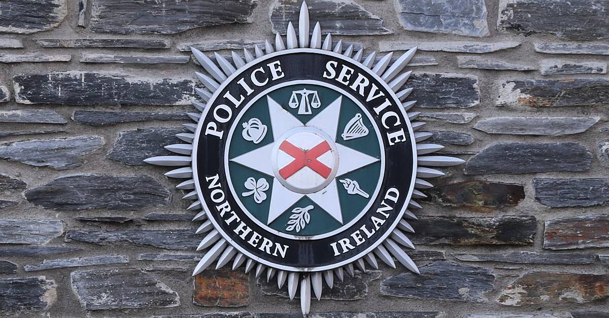 Two men arrested over Tyrone arson attack