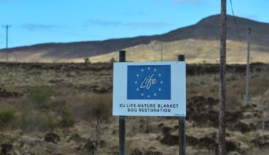 Climate Changemakers: Three key ingredients to boost nature restoration in Ireland