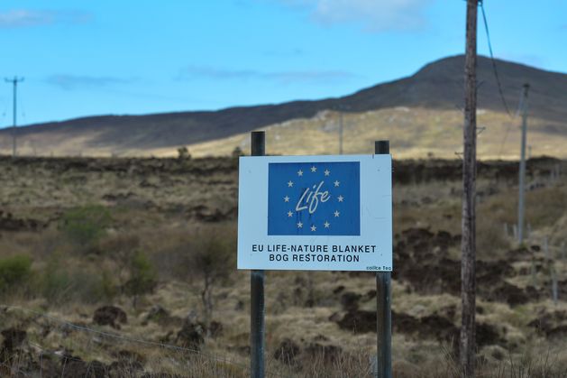 Climate Changemakers: Three key ingredients to boost nature restoration in Ireland