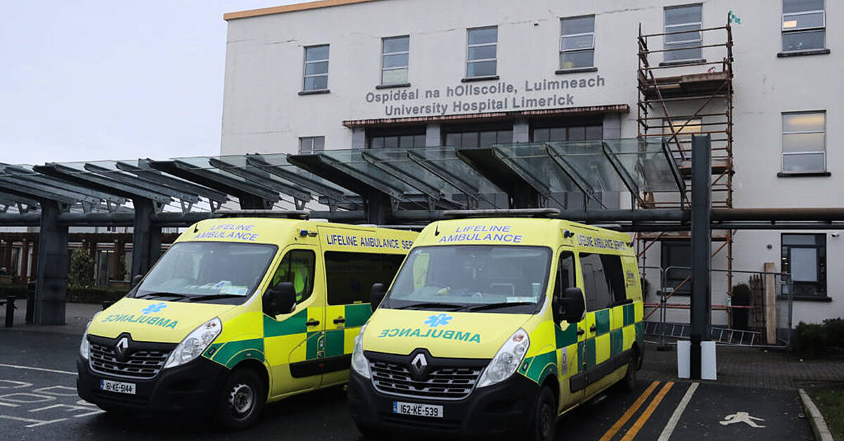 University Hospital Limerick proposes using private hospital floor space to ease overcrowding