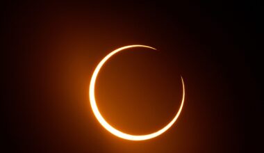 Penguins get front-row seats to rare Antarctic ‘Ring of Fire’ eclipse