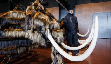 Chicago’s Nick Cave is digging up America’s bones at a fraught moment for the Smithsonian