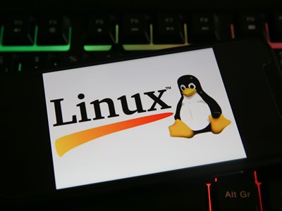 The word Linux next to an illustration of a penguin sitting down. Editorial use only.