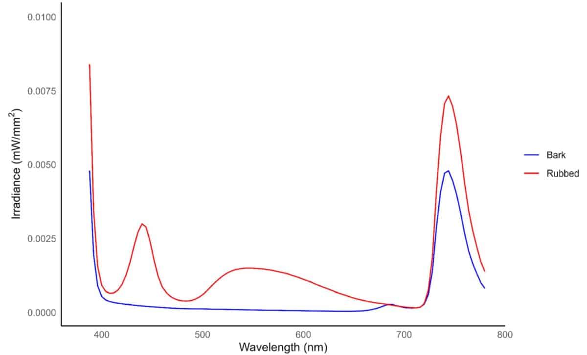 White Tailed Deer Rubs Show Higher Irradiance And Photoluminescence At ~450 And 550 Nm Under 365 Nm Uv Light, Aligning With Deer Visual Sensitivity (athens Clarke County, 2024; N=109; P0.001) ©eco