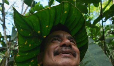 A family's solitary fight to save endangered plants in the Amazon