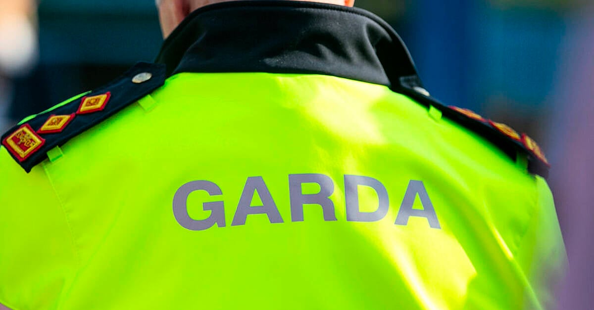 Woman (30s) arrested after man (50s) in critical condition following assault in Co Dublin