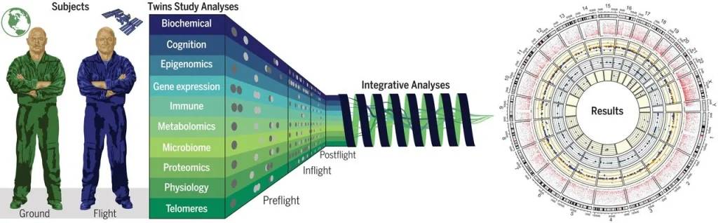 NASA studied identical twins by sending one into space for a year while the other stayed on Earth to see how extreme environments change the human body