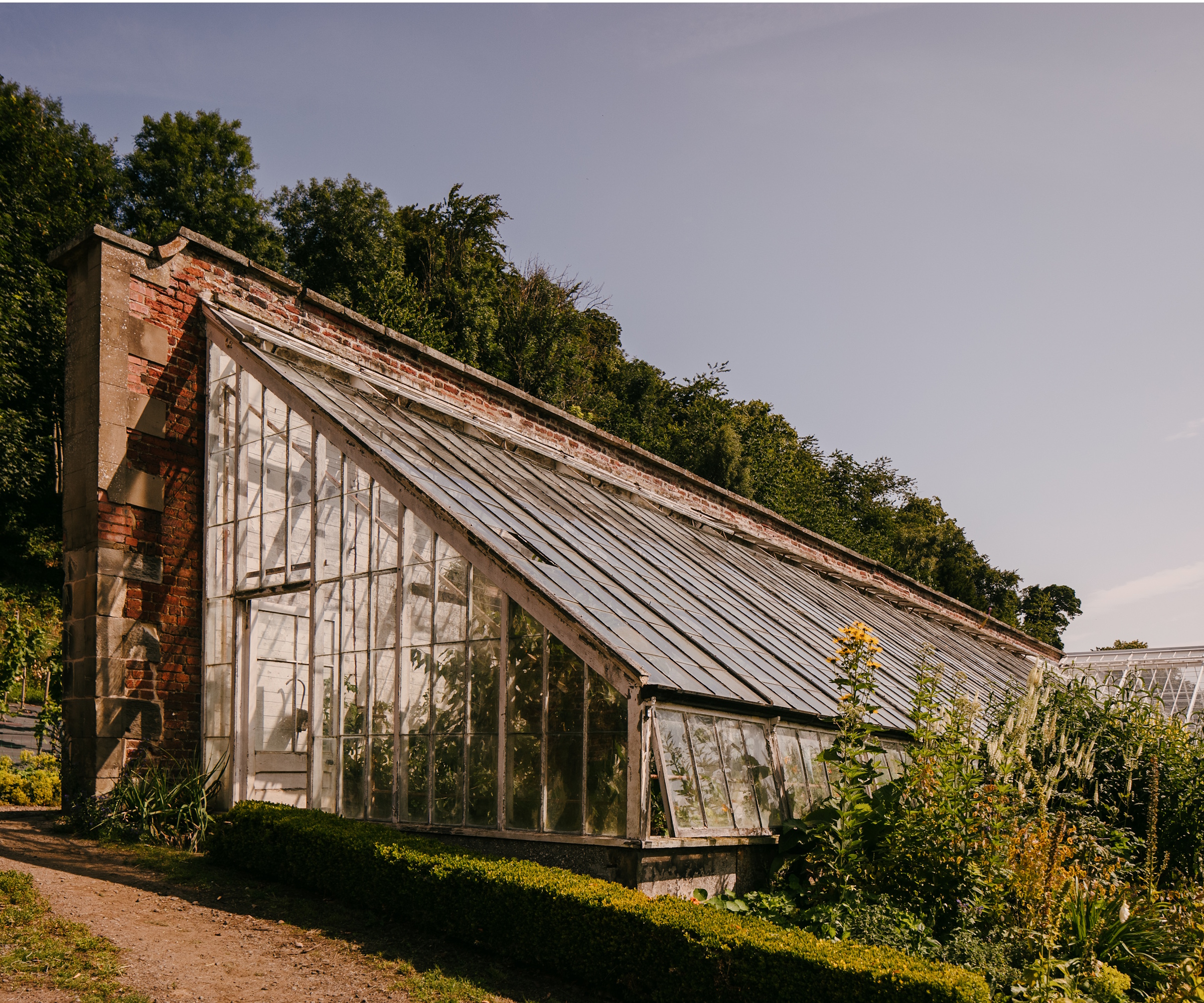 Glasshouse in Dalmeny Walled Garden