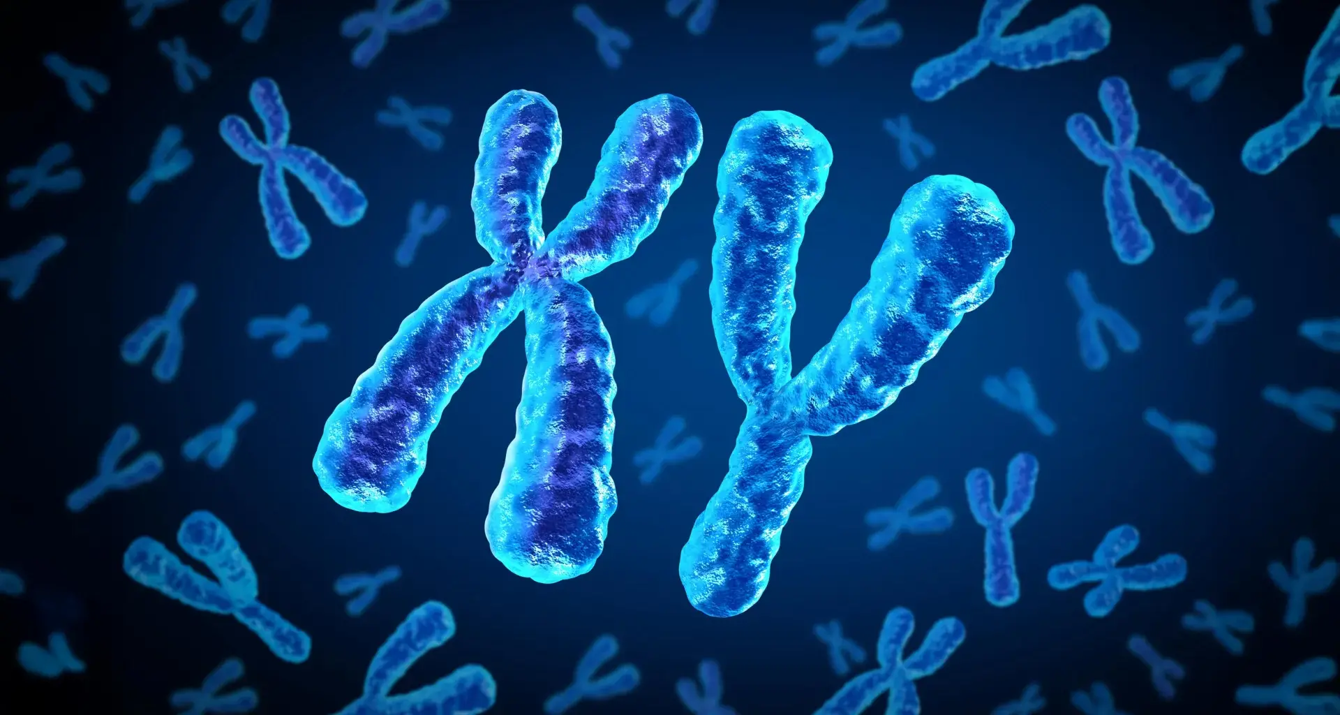 Why heart disease risk in type 2 diabetes looks different for men and women