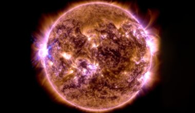 Wild Study Proposes Possible Link Between Solar Flares and Earthquakes