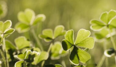 "I got goosebumps when I seen the mattress on the top of the trailer..."