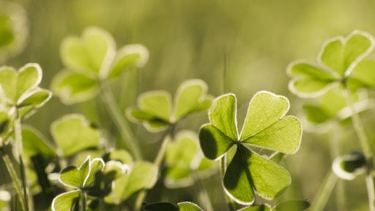 "I got goosebumps when I seen the mattress on the top of the trailer..."