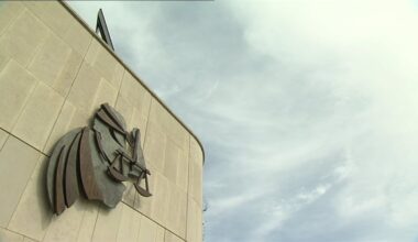 Man jailed for assaulting garda on Christmas night out