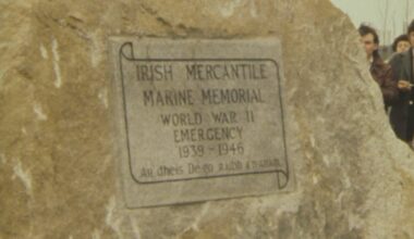 Over 130 names of Irish men added to WWII roll of honour