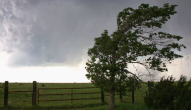 Yellow wind warning for five western counties expires