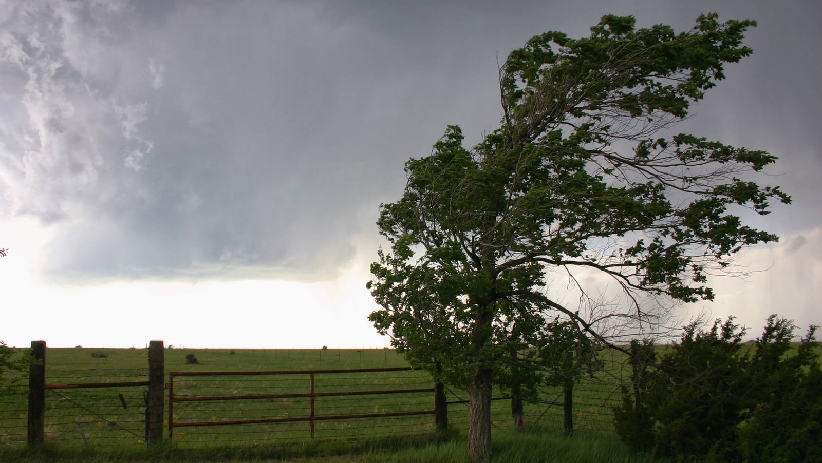 Yellow wind warning for five western counties expires