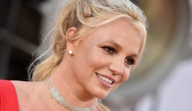 Britney Spears's arrest 'completely inexcusable'