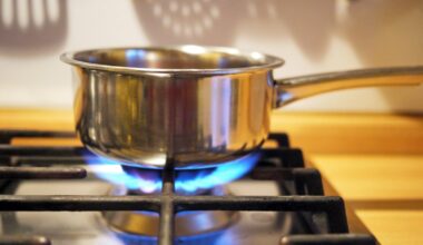 Govt taking 'wait and see' approach to energy protection