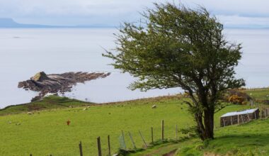 Yellow wind warning issued for Donegal, Galway and Mayo