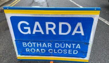 Man, 20s, dies in Co Westmeath road crash