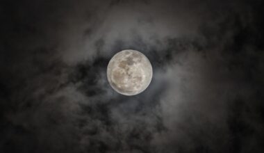 When to expect the next full moon in 2026